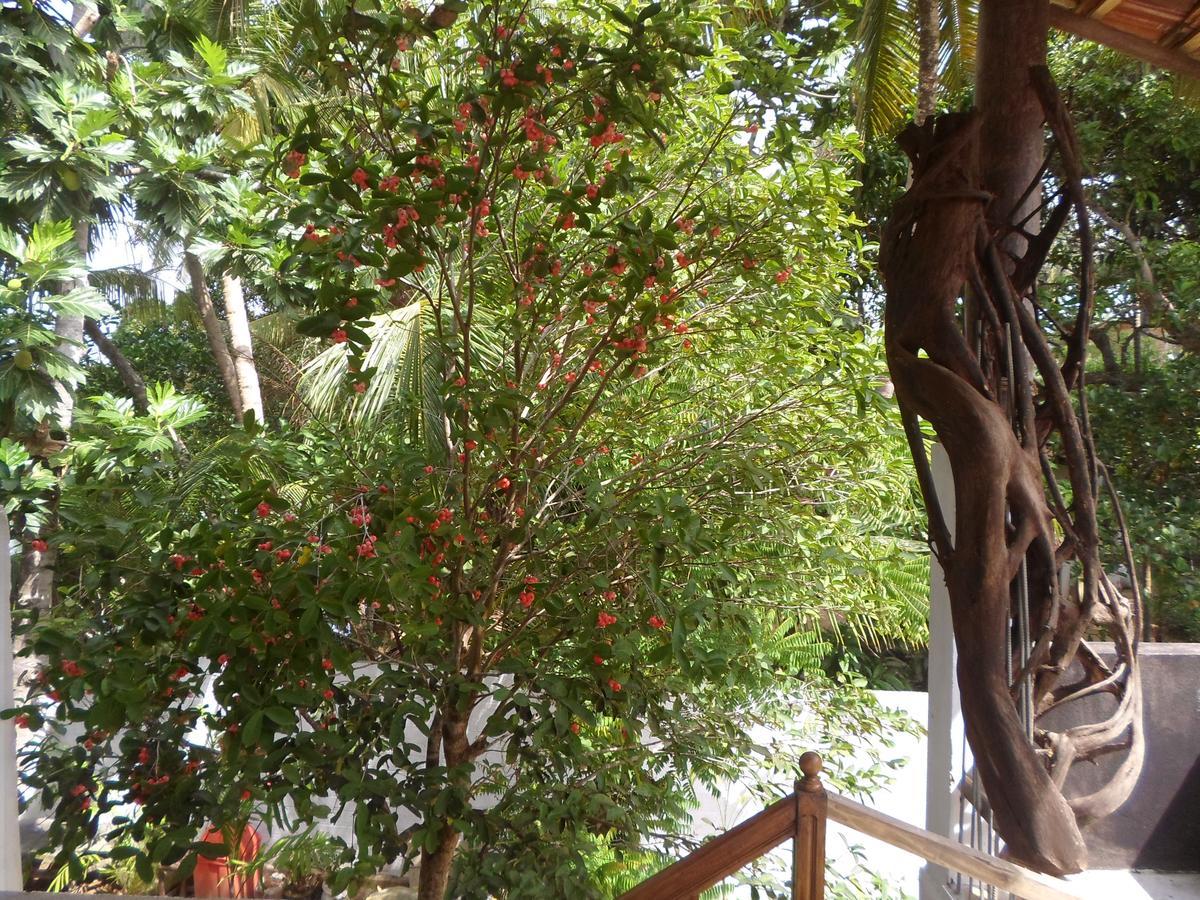 Heritage Villa Hikkaduwa Exterior photo